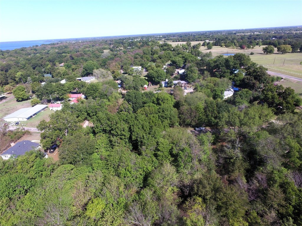 Picture 16