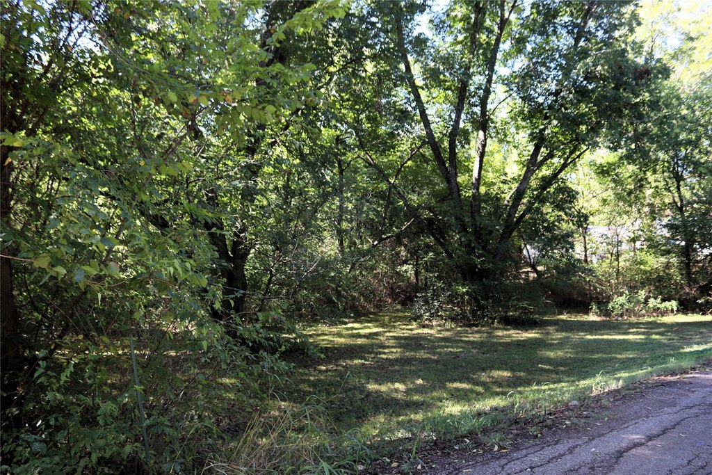 Picture 6