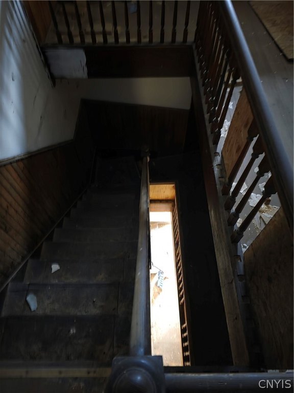 Picture 19