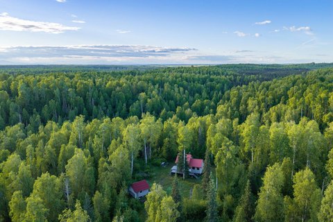 Waterfront Land with Off-Grid Cabin