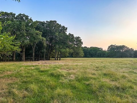 Ivanhoe, TX Land For Sale