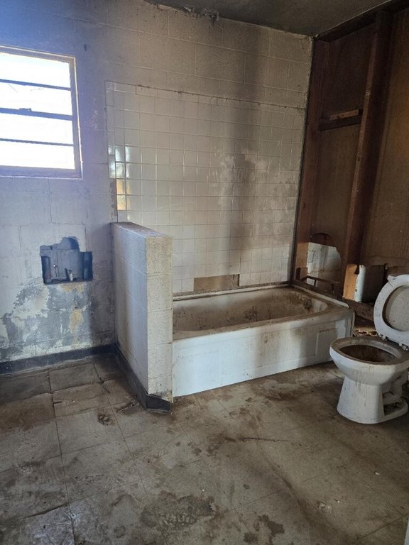 Picture 5