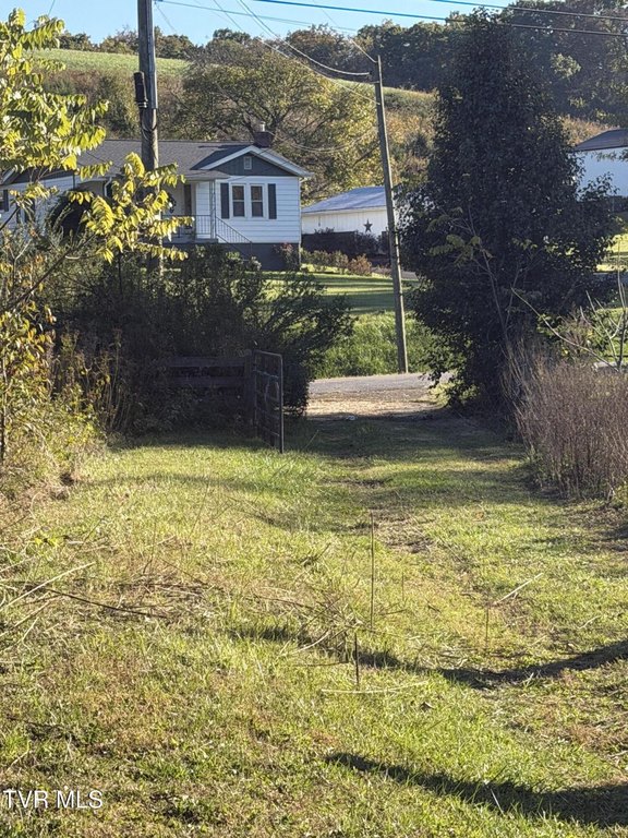 Picture 13