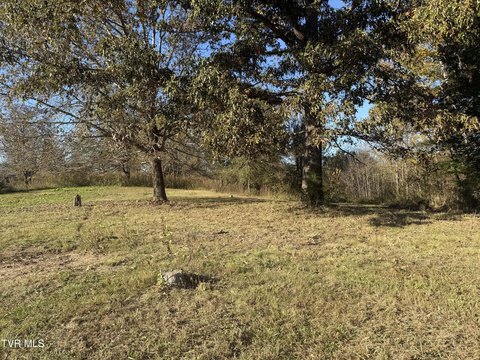Land, Bluff City, TN
