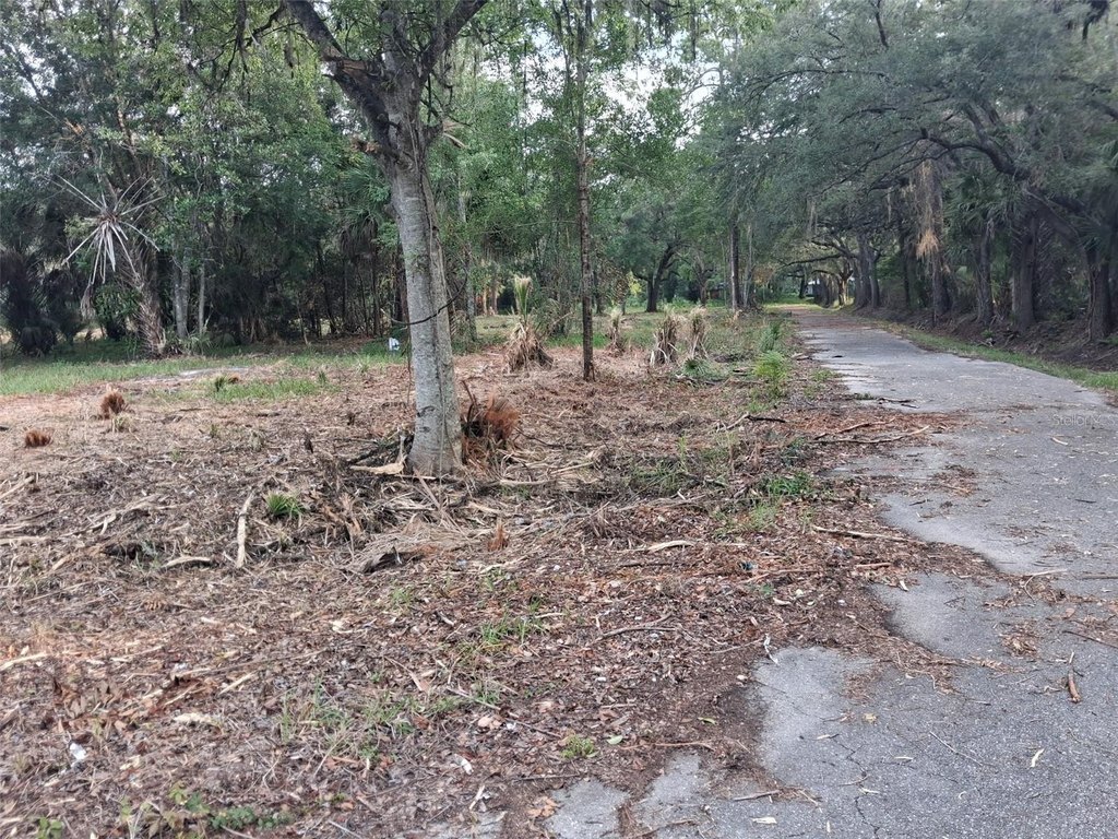 Picture 25