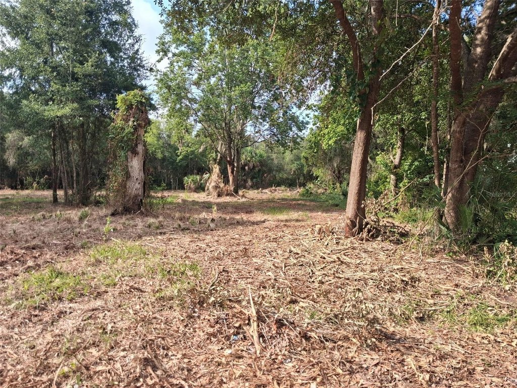 Picture 26