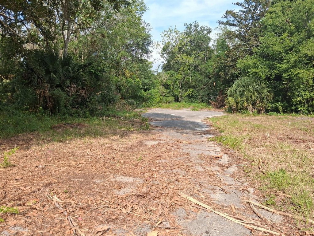 Picture 27