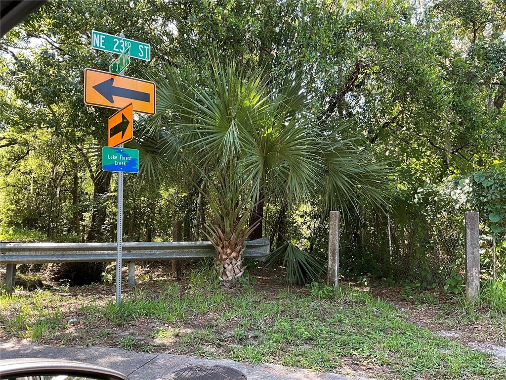 Picture 21