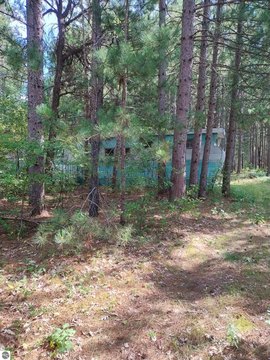 Heavily Wooded Land Near Trails