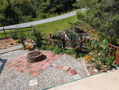 Picture 4