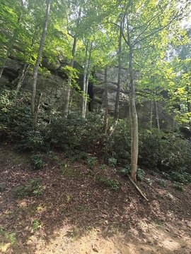 Land, Zoe, KY