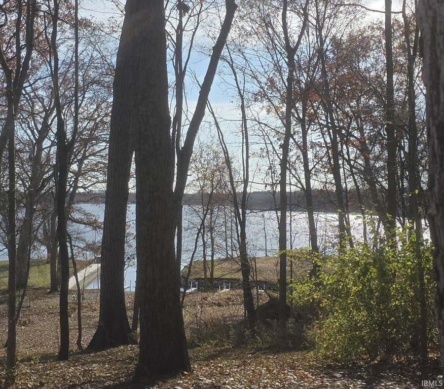 Picture 9