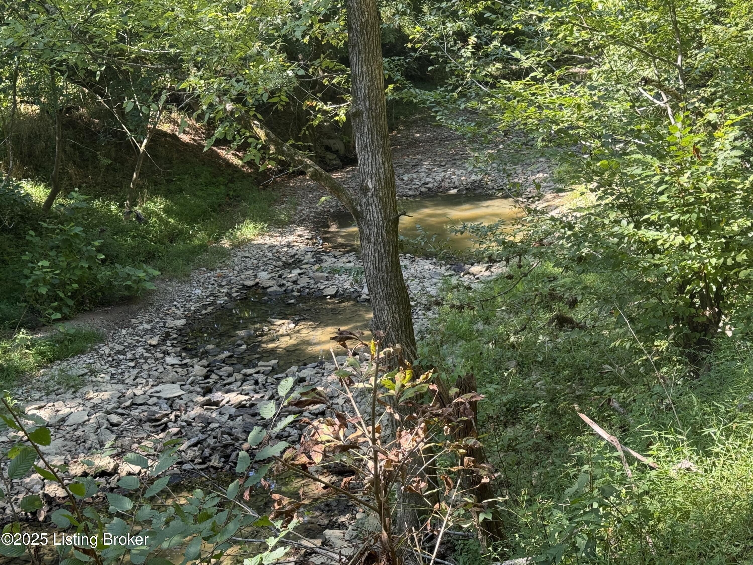 Serene Wooded Land with Streams