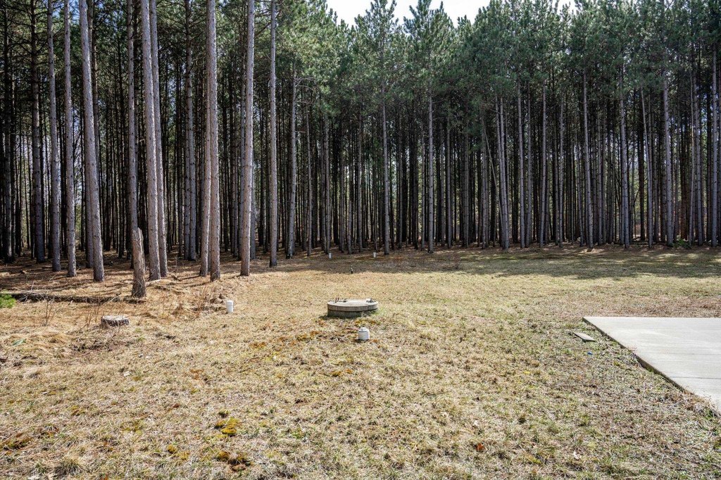 Picture 19