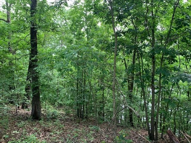 Picture 13