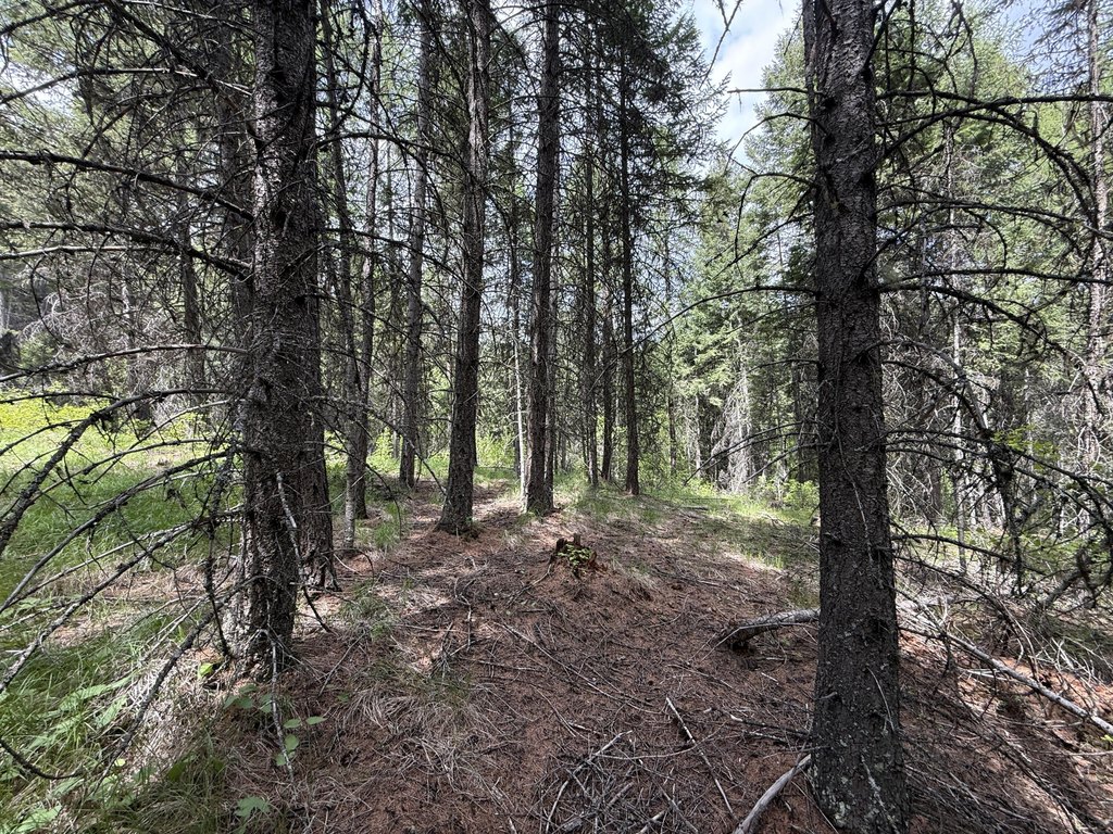 Picture 25
