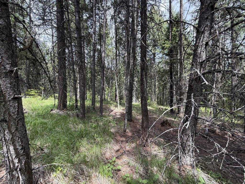 Picture 27