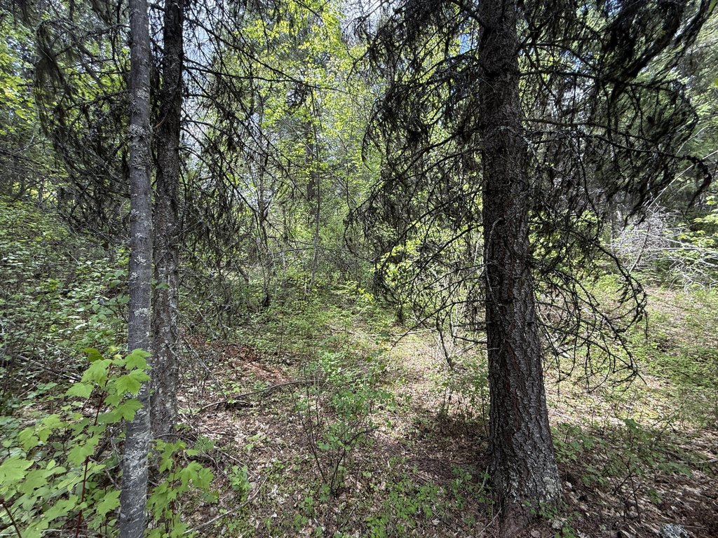 Picture 9