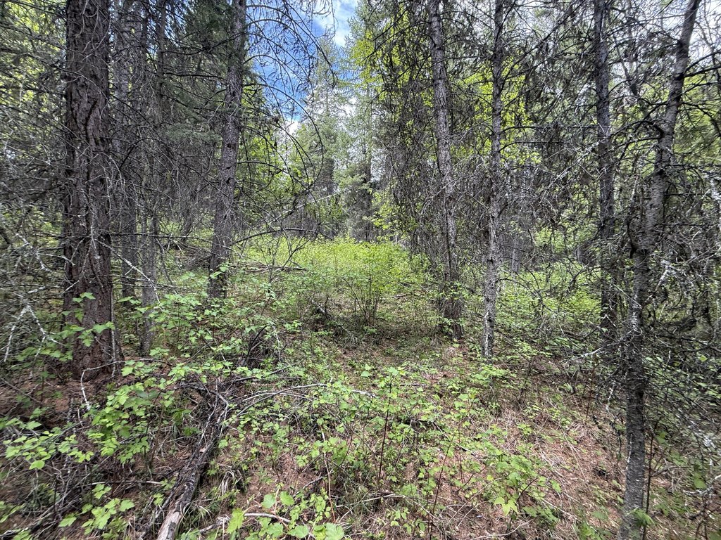 Picture 14