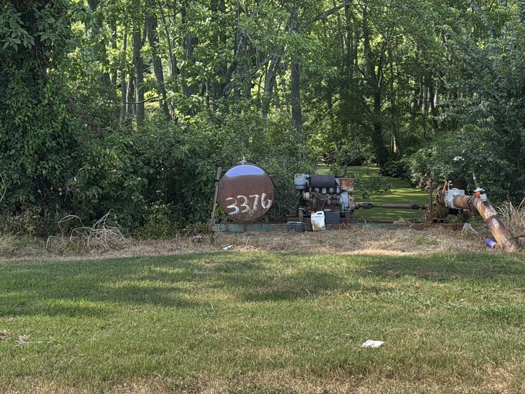 Picture 24