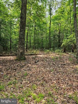 Mechanicsville Land For Sale