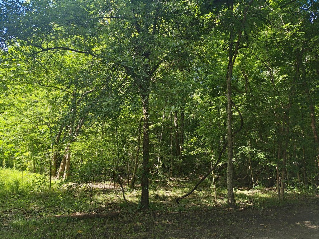 Picture 7