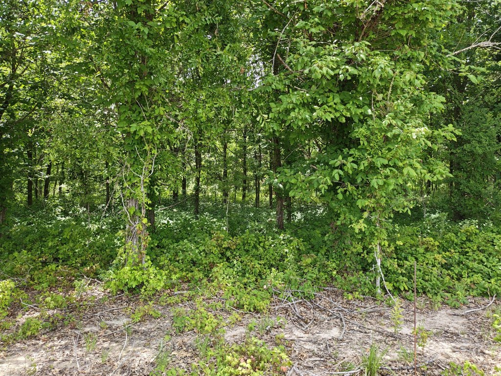 Picture 6