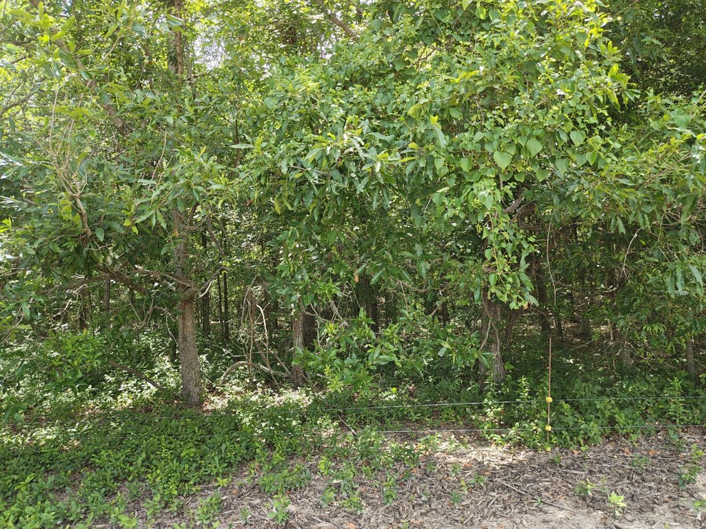 Picture 4