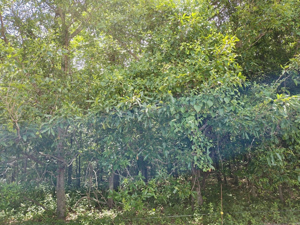Picture 9
