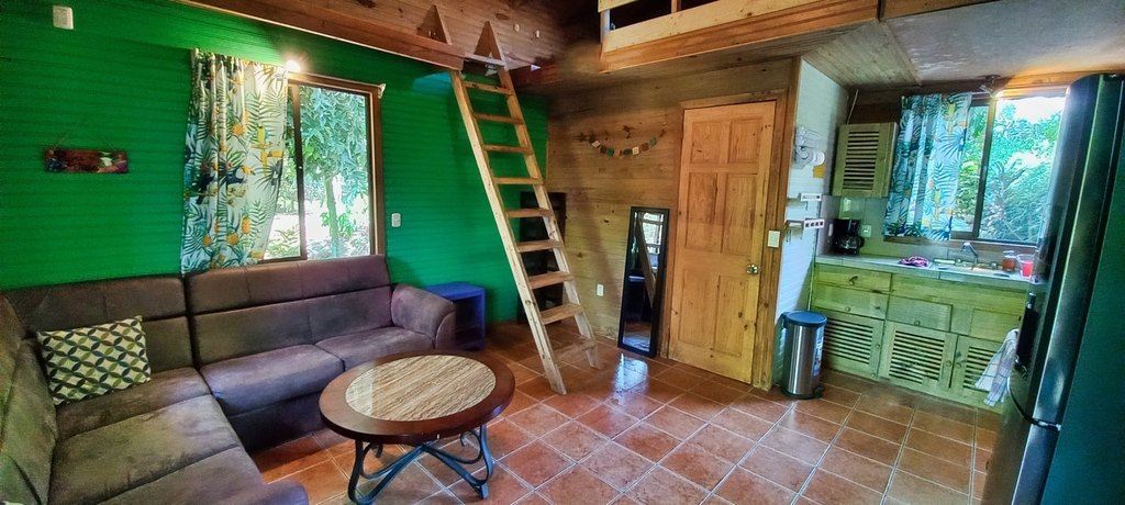 Picture 25