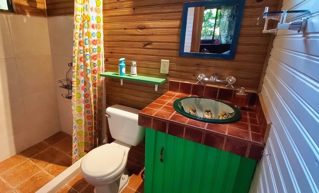 Picture 23
