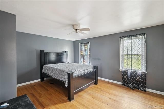 Picture 8