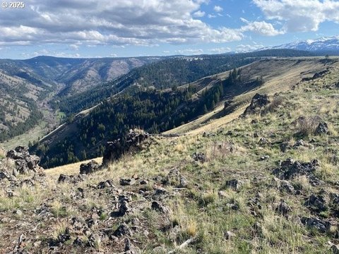 Oregon Timbered Canyonland Hunting Property
