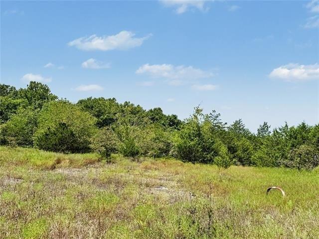 Picture 25