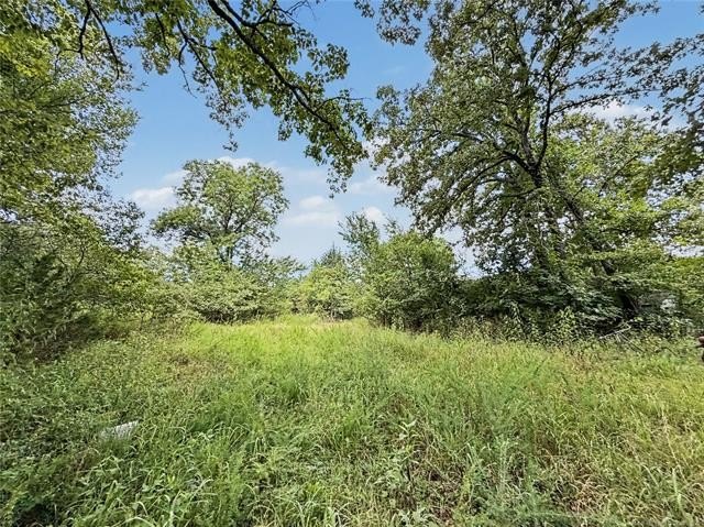 Picture 21