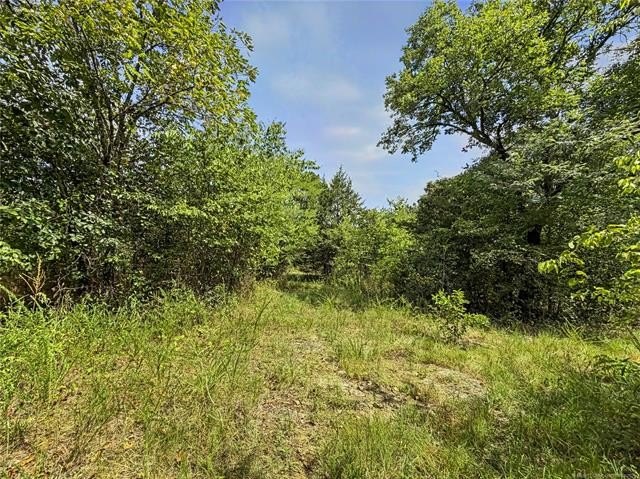 Picture 23