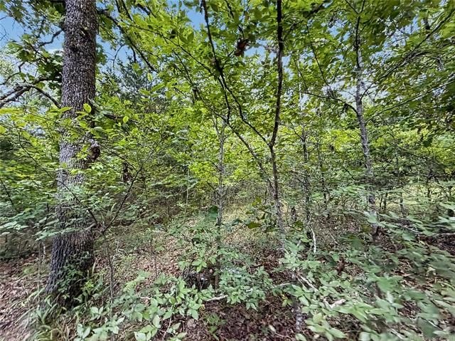 Picture 11