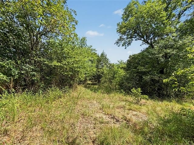 Picture 23