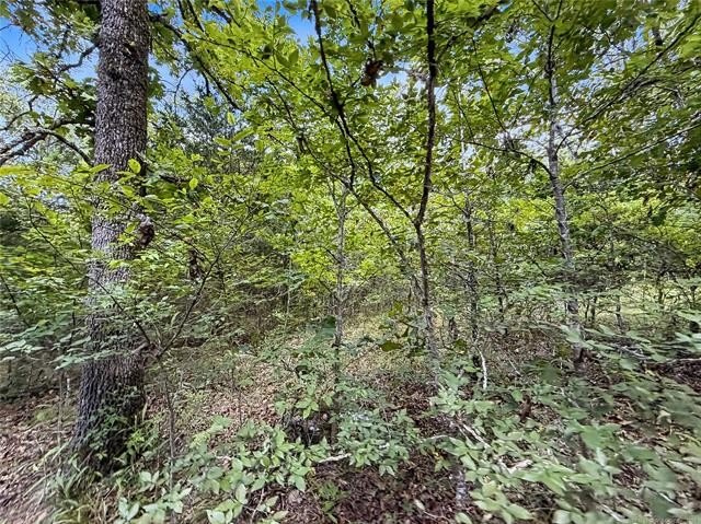 Picture 11