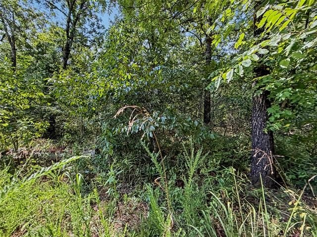 Picture 29