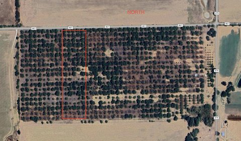 De Leon Land with Orchard