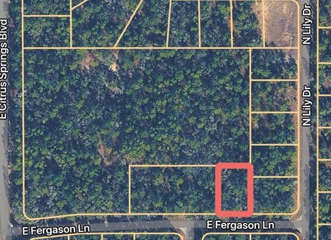 Land, DUNNELLON, FL