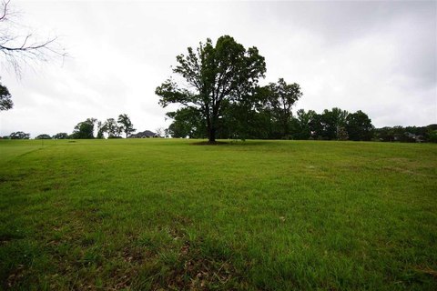 Land, Eads, TN