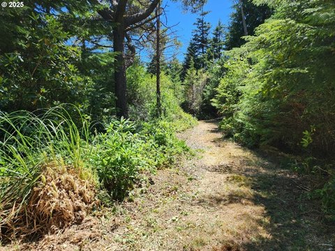 Port Orford Land For Sale