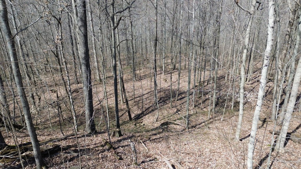 Picture 23