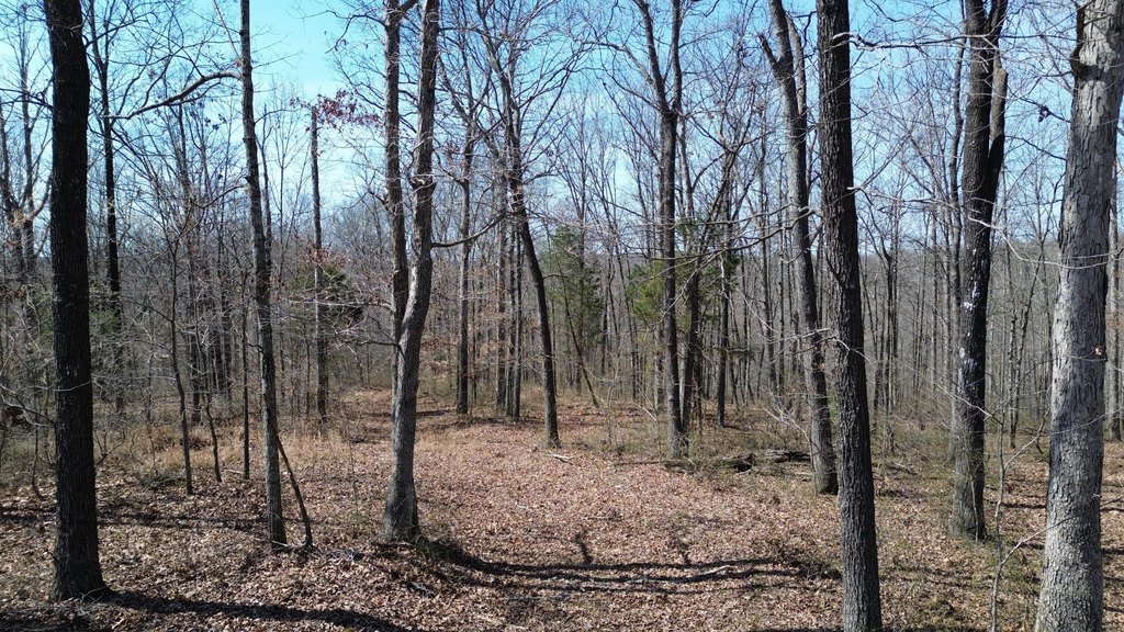 Picture 15