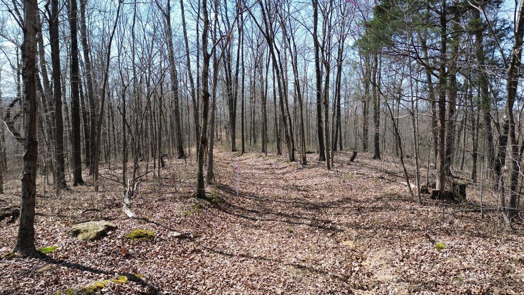 Picture 28