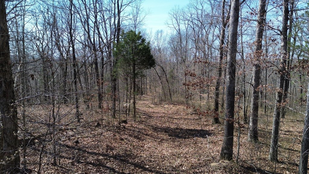 Picture 13