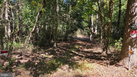 Land, MARYDEL, MD