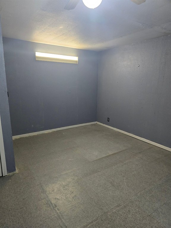 Picture 33